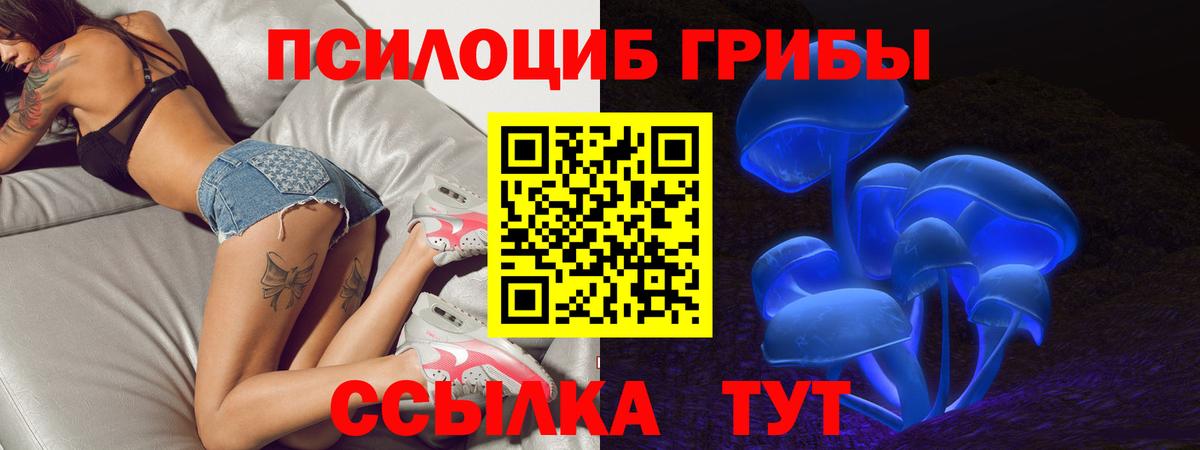 Галлюциногенные грибы Psilocybe Киров
